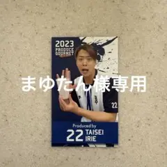 横浜DeNAベイスターズ　入江選手　カード