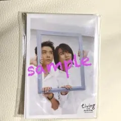 KinKiKids ミニフォットセット集合B（5枚入り）