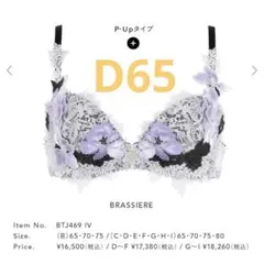 サルート 店舗限定 D65 69グループ BTJ469 PTJ469