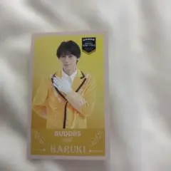 エビライ グッズ トレカ BUDDiiS 岩尾春樹