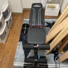FLYBIRD トレーニングベンチ ダンベルセット付き