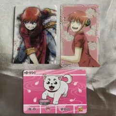 【即購入◎】銀魂　神楽定春セット