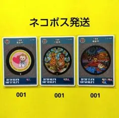 千葉県長生村・八街市・浦安市 マンホールカード 3枚セット