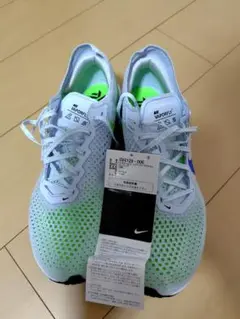 Item thumbnail for item c3ccf9e8-ae65-40f9-8d59-ce04c0ee6d57