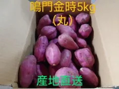 さつまいも鳴門金時5kg(丸)