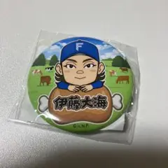 ファイターズ 北海道肉祭り 2025 伊藤大海 缶バッチ
