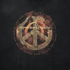 00s A PERFECT CIRCLE パーフェクトサークル Tシャツ 黒XL
