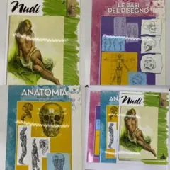 人体デッサン　教科書　洋書　イタリア語　3冊セット　骨格　　匿名配送