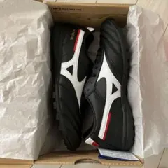 MORELIA TF 01