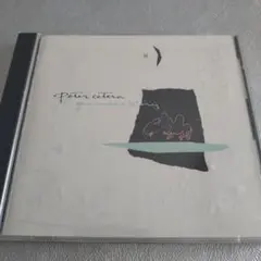【期限8月11日削除】ピーター・セテラ　one more story