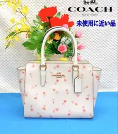 Item thumbnail for item 9a620c48-ba15-43c1-928e-5ef5c9305db9