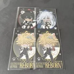 家庭教師ヒットマンREBORN!ナンジャタウン　クリアイラストシート
