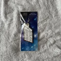 値下げ可能❗️ALIENSTAGE ALNST メタルキーホルダー