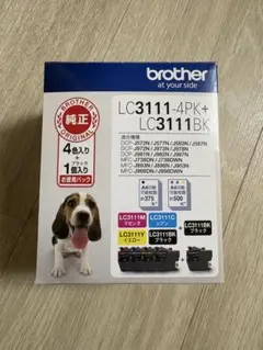 Item thumbnail for item 01093764-b51f-430b-bca6-efc2cb7cbc8a