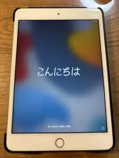 iPad mini4 16G