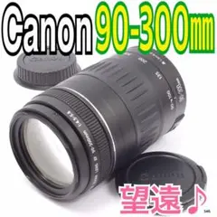 ✨大迫力の望遠レンズ✨キヤノン Canon EF 90-300㎜