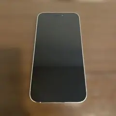4587 iPhone 14 Pro Max シルバー