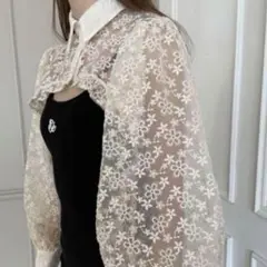 正規品epine arm volume frill cropped blouse