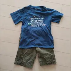 UT 国立自然史博物館 Tシャツ ネイビー