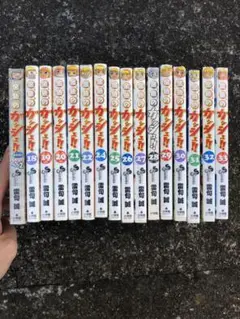 黄金のガッシュ!!16冊セット