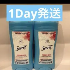 【73g】パウダーフレッシュ固形制汗剤デオドラントスティック2個24時間発送