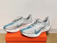 Nike Pegasus Plus ペガサス プラス 29cm