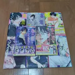 【2つに分けて発送します即購入禁止】春の嵐とモンスター 1〜8