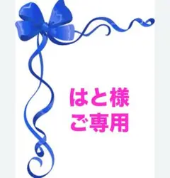 ★はと様★ご専用★