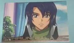 機動戦士ガンダムSEED destiny アスランザラ　ポストカード