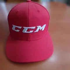 Item thumbnail for item 88e8d633-c1e0-4aa1-828b-ca0c6ca01c04