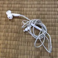 iPhone/ライトニングイヤホン