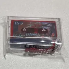Eve くじ キーホルダー red