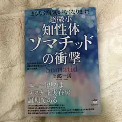 Item thumbnail for item 829ca551-185c-4230-8243-9050dc3220f4