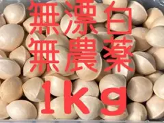 大分県産銀杏(殻付き)1kg
