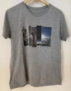 Item thumbnail for item 617a6006-65ff-42c6-affd-a9486b4842d3