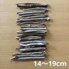 Item thumbnail for item d1a3cd3d-20a3-4ffd-a41f-332cbb6f14e0