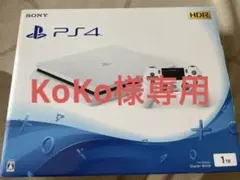 SONY PlayStation4 CUH-2200BB02 1TB
