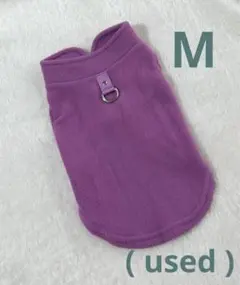 Item thumbnail for item 7b63b40d-a0f4-473c-ab6b-d403f0289891