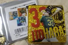 ウルトラの夏　選手フォトマグネット
