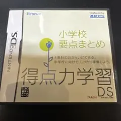 得点力学習DS 小学校要点