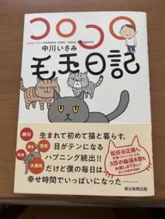 【美品】コロコロ毛玉日記