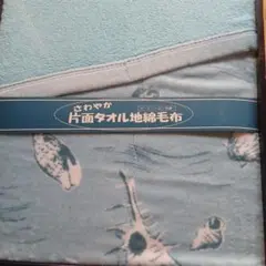 片面タオル地綿毛布