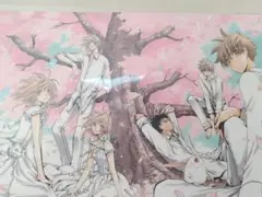 CLAMP展 ツバサ UVイラストカード ポスター　ポストカード