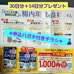 DHC 届くビフィズスEX 2週間分プレゼント付 特別価格 注文はがき付チラシ