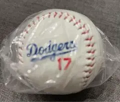 大谷翔平　ドジャース　dodgers ボール