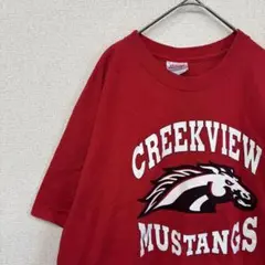 ヘインズ　tシャツ チーム　ロゴ　レッド　アメリカ古着　L 2352