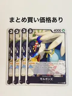 【まとめ買いでお得】モルガンズ C OP13-093 黒