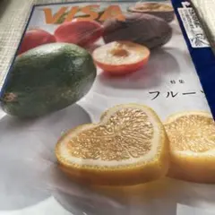 VISA フルーツ　9.10月号