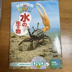 学研の図鑑 LIVE 水の生物 ⚠️DVD無し夏休み自由研究