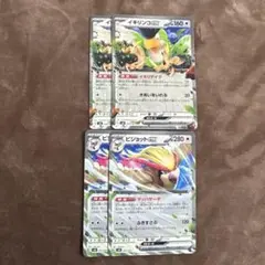 イキリンコ、ピジョットex ノーマル各2枚